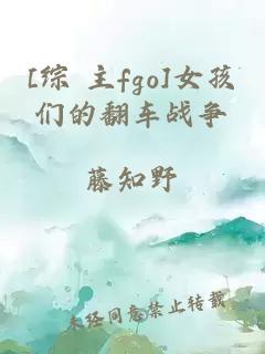 [综 主fgo]女孩们的翻车战争